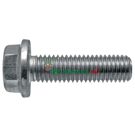  Flanged bolt